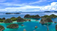 Izin Pakai Kawasan Hutan Raja Ampat Dihentikan Sementara