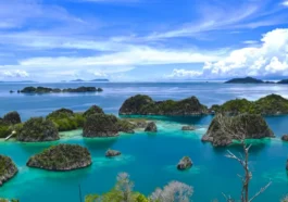 Izin Pakai Kawasan Hutan Raja Ampat Dihentikan Sementara
